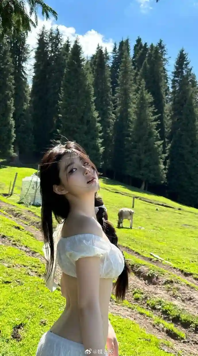 天气应用界面对比